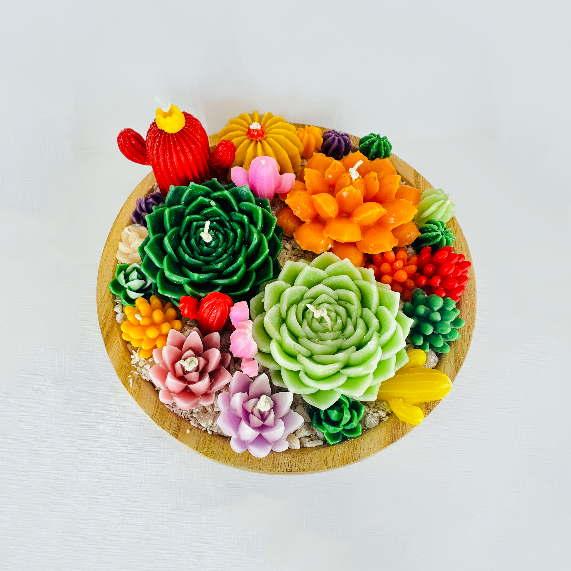 Wax Succulent Tray