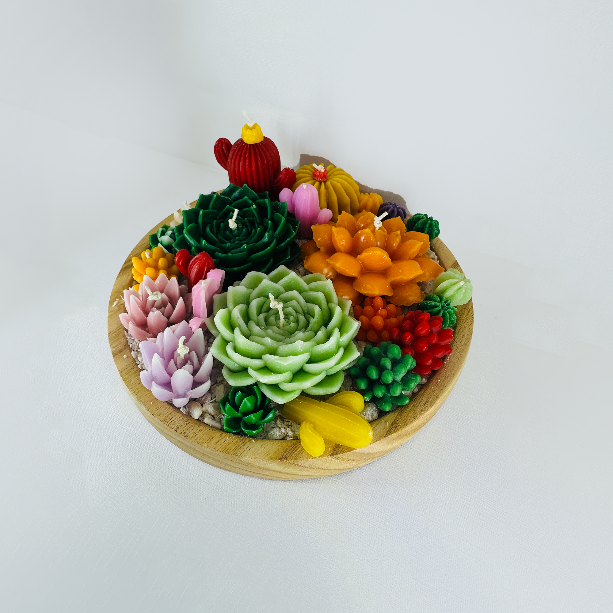 Wax Succulent Tray