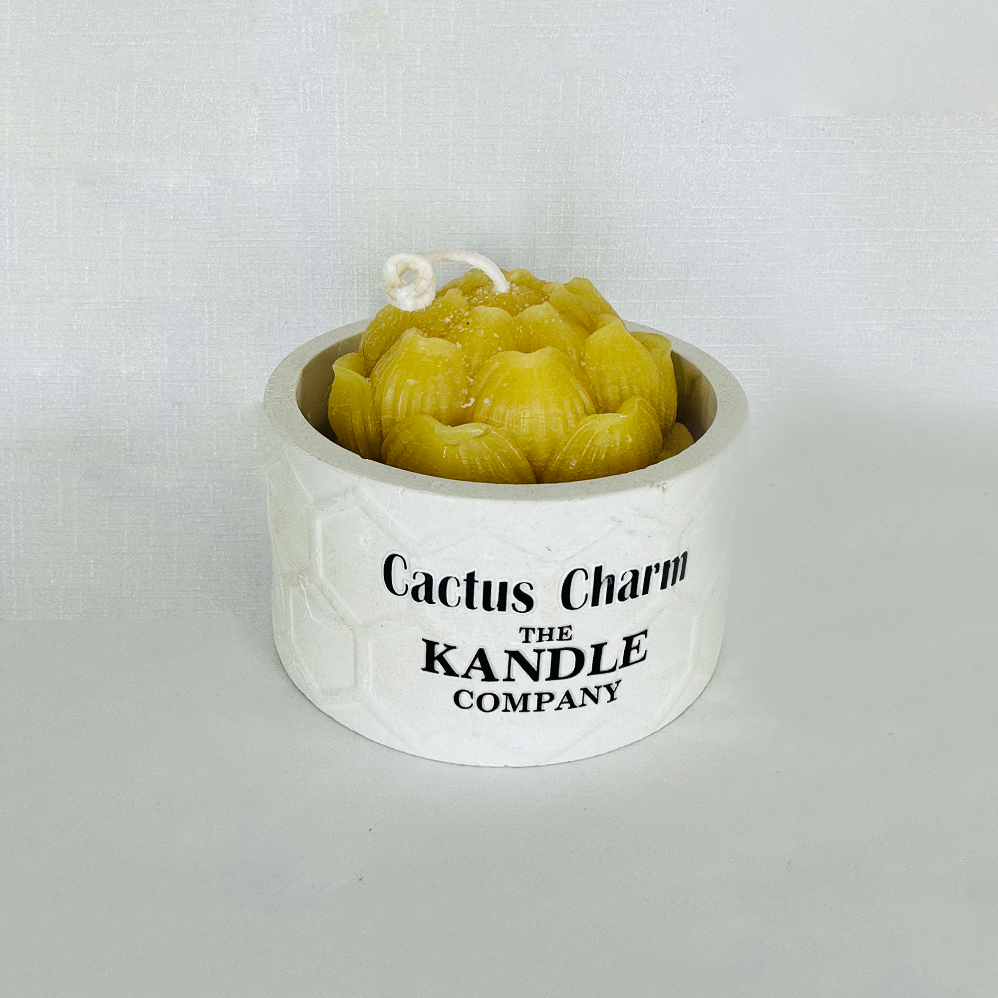 Cactus Charm
